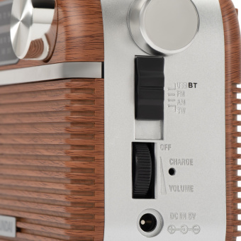 Радиоприемник портативный Hyundai H-PSR200 дерево коричневое/серебристый USB microSD - купить недорого с доставкой в интернет-магазине