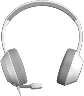 Наушники с микрофоном A4Tech Fstyler FH150U белый/серый 2м накладные USB оголовье (FH150U WHITE) - купить недорого с доставкой в интернет-магазине