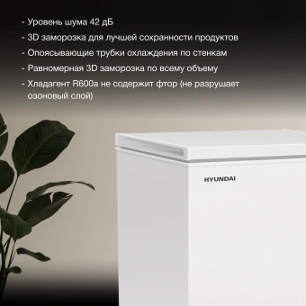 Морозильный ларь Hyundai CH20081 белый 82Вт - купить недорого с доставкой в интернет-магазине