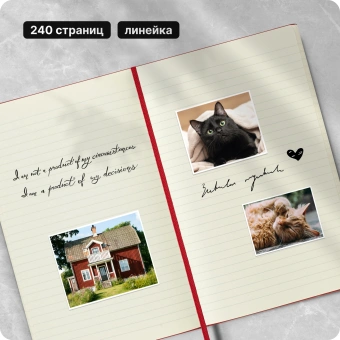 Блокнот Moleskine CLASSIC QP060R Large 130х210мм 240стр. линейка твердая обложка красный - купить недорого с доставкой в интернет-магазине