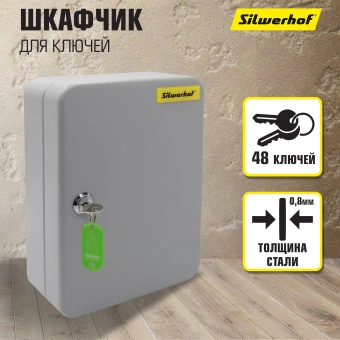 Шкафчик для ключей Silwerhof на 48ключ. 250х180х80мм комппл.48 брелков серый металл - купить недорого с доставкой в интернет-магазине