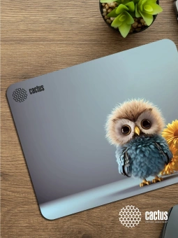 Коврик для мыши Cactus Owl gray рисунок 300x250x3мм (CS-MPC-D12M) - купить недорого с доставкой в интернет-магазине