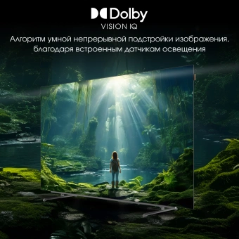Телевизор OLED Digma Pro 55" OLED 55M Google TV Frameless черный/серебристый 4K Ultra HD 120Hz DVB-T DVB-T2 DVB-C DVB-S DVB-S2 USB WiFi Smart TV - купить недорого с доставкой в интернет-магазине