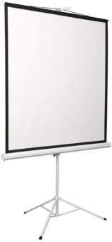 Экран Digis 120" 189x248см Kontur-D DSKD-4304 4:3 напольный рулонный - купить недорого с доставкой в интернет-магазине