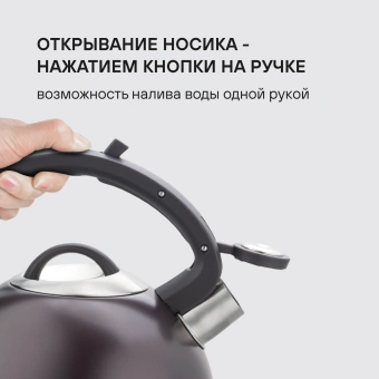 Чайник металлический Rondell Tierno RDS-1900 2.9л. фиолетовый - купить недорого с доставкой в интернет-магазине