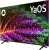 Телевизор QLED BBK 65" 65LED-8260/UTS2C (B) Яндекс.ТВ черный 4K Ultra HD 60Hz DVB-T2 DVB-C DVB-S2 USB WiFi Smart TV (RUS) - цена, купить или заказать с доставкой в интернет-магазине Телевизор QLED BBK 65" 65LED-8260/UTS2C (B) Яндекс.ТВ черный 4K Ultra HD 60Hz DVB-T2 DVB-C DVB-S2 USB WiFi Smart TV (RUS) - купить недорого с доставкой в интернет-магазине