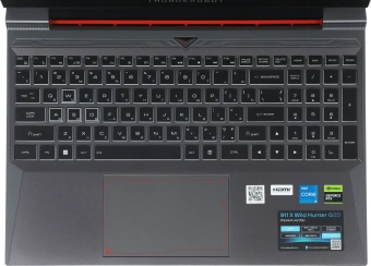 Ноутбук Thunderobot 911 X Wild Hunter G2D Core i5 12450H 16Gb SSD512Gb NVIDIA GeForce RTX4050 6Gb 15.6" IPS FHD (1920x1080) FreeDOS grey WiFi BT Cam (JT009A00KRU) - купить недорого с доставкой в интернет-магазине