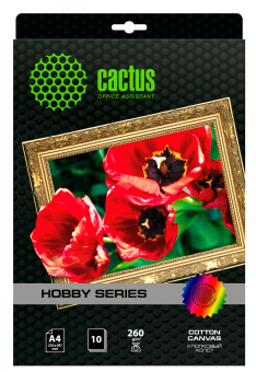 Холст Cactus CS-CA426010 A4/260г/м2/10л. для струйной печати - купить недорого с доставкой в интернет-магазине