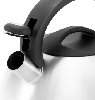 Чайник металлический Rondell Sieden RDS-088 3л. стальной - купить недорого с доставкой в интернет-магазине