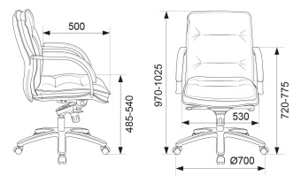 Кресло руководителя Бюрократ T-9927SL-LOW черный кожа низк.спин. крестов. металл хром - купить недорого с доставкой в интернет-магазине
