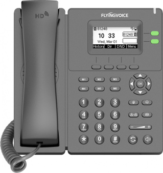 Телефон IP Flyingvoice P20G серый - купить недорого с доставкой в интернет-магазине