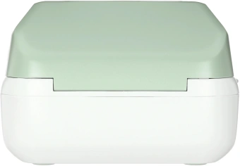 Термопринтер Niimbot B1 (1746798) 203dpi 50мм/с/USB/BT для печ.этик. зеленый - купить недорого с доставкой в интернет-магазине