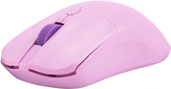 Мышь Acer OMR501 фиолетовый оптическая 1600dpi silent беспров. USB 4but (ZL.MCE11.017) - купить недорого с доставкой в интернет-магазине