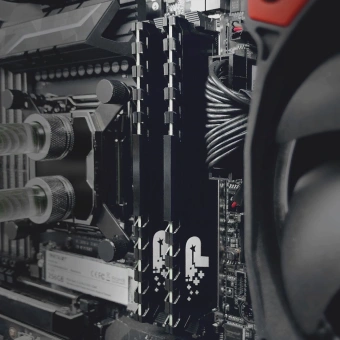 Память DDR4 2x16GB 3200MHz Patriot PSP432G3200KH1 Signature Premium RTL PC4-25600 CL22 DIMM 288-pin 1.2В kit dual rank с радиатором Ret - купить недорого с доставкой в интернет-магазине