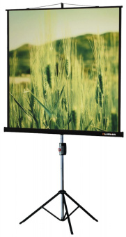 Экран Lumien 127x127см Master Picture LMP-100101 1:1 настенный рулонный белый - купить недорого с доставкой в интернет-магазине