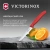 Нож кухонный Victorinox Swiss Classic 6.7701.C1 для овощей лезв.100мм прямая заточка красный - купить недорого с доставкой в интернет-магазине