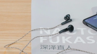 Наушники вкладыши Fiio FF5 1.2м черный проводные в ушной раковине - купить недорого с доставкой в интернет-магазине
