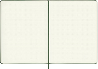 Блокнот Moleskine CLASSIC QP093K15 XLarge 190х250мм 192стр. пунктир твердая обложка зеленый - купить недорого с доставкой в интернет-магазине