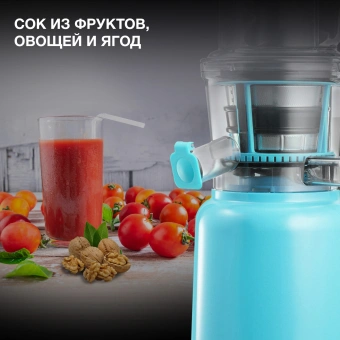 Соковыжималка шнековая Hyundai HY-JS6534 300Вт рез.сок.:1200мл. светло-синий - купить недорого с доставкой в интернет-магазине