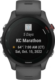 Смарт-часы Garmin Forerunner 255 33мм 1.3" корп.черный рем.темно-серый (010-02641-10) - купить недорого с доставкой в интернет-магазине