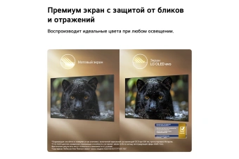 Телевизор OLED LG 65" OLED65G6RLA.ARUG атласное серебро 4K Ultra HD 120Hz DVB-T2 DVB-C DVB-S2 USB WiFi Smart TV - купить недорого с доставкой в интернет-магазине