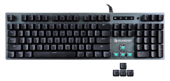 Клавиатура A4Tech B765 механическая серый USB for gamer LED (B765 GREY/NEON (GREEN SWITCH)) кабель 1.8м - купить недорого с доставкой в интернет-магазине