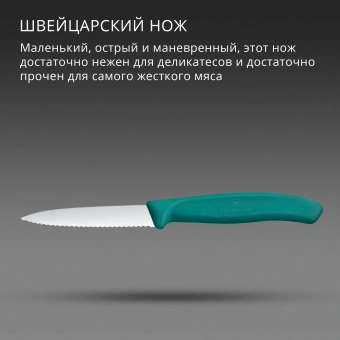 Нож кухонный Victorinox Swiss Classic (6.7634.C1) стальной столовый для чистки овощей и фруктов лезв.80мм серрейт. заточка зеленый - купить недорого с доставкой в интернет-магазине
