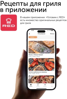 Электрогриль Red Solution G830D 2000Вт черный - купить недорого с доставкой в интернет-магазине