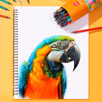 Карандаши цв. Deli 7073-24 пластик 24цв. туба пл. ластик - купить недорого с доставкой в интернет-магазине