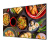 Экран на раме Cactus 90" 114x201см Alr Expert CS-PSALR-201X114 16:9 настенный натяжной - купить недорого с доставкой в интернет-магазине
