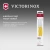 Набор ножей Victorinox Swiss Classic 6.7838.2C1 компл.:2предм. желтый европодвес - цена, купить или заказать с доставкой в интернет-магазине Набор ножей Victorinox Swiss Classic 6.7838.2C1 компл.:2предм. желтый европодвес - купить недорого с доставкой в интернет-магазине