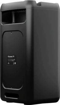 Колонка порт. Ural Молния 111 черный 40W 2.0 BT/3.5Jack/USB 1500mAh (МОЛНИЯ 111) - купить недорого с доставкой в интернет-магазине
