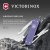 Нож перочинный Victorinox Classic SD Alox Electric Lavender (0.6221.223G) 58мм 5функц. подар.коробка - купить недорого с доставкой в интернет-магазине