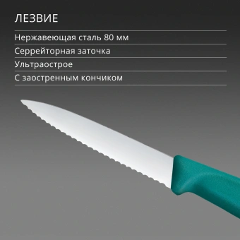 Нож кухонный Victorinox Swiss Classic (6.7634.C1) стальной столовый для чистки овощей и фруктов лезв.80мм серрейт. заточка зеленый - купить недорого с доставкой в интернет-магазине