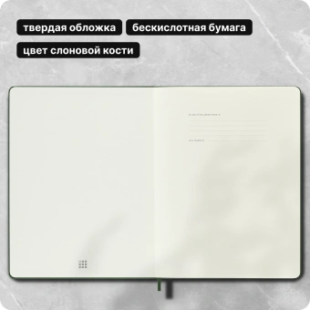Блокнот Moleskine CLASSIC QP093K15 XLarge 190х250мм 192стр. пунктир твердая обложка зеленый - купить недорого с доставкой в интернет-магазине