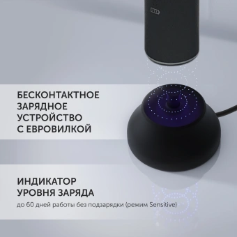 Зубная щетка электрическая Polaris PETB 0701 TC серый - купить недорого с доставкой в интернет-магазине