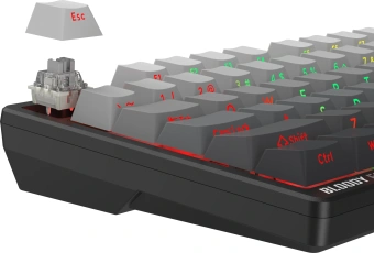 Клавиатура A4Tech MS76 PLUS механическая черный/серый USB Multimedia for gamer LED кабель 1.8м - купить недорого с доставкой в интернет-магазине