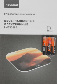 Весы напольные электронные Hyundai H-BS03981 макс.180кг оранжевый - купить недорого с доставкой в интернет-магазине