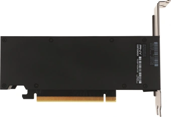 Видеокарта PNY PCI-E 4.0 VCNRTX2000ADA-SB NVIDIA RTX A2000 16Gb 192bit GDDR6 562 mDPx4 Ret low profile - купить недорого с доставкой в интернет-магазине