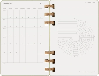 Еженедельник Moleskine ACADEMIC SPIRAL DHSPK5212AMWH3 Large 150х210мм 200стр. кремовые страницы спираль киви - купить недорого с доставкой в интернет-магазине