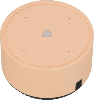 Умная колонка Yandex Станция Лайт Алиса бежевый 5W 1.0 BT 10м (YNDX-00025B) - купить недорого с доставкой в интернет-магазине