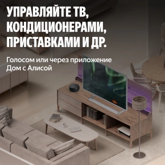 Умный пульт Yandex YNDX-00572 р.д.20м черный - купить недорого с доставкой в интернет-магазине