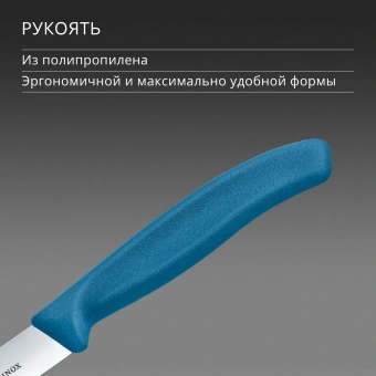 Нож кухонный Victorinox Swiss Classic (6.7702.C1) для овощей лезв.100мм прямая заточка синий - купить недорого с доставкой в интернет-магазине