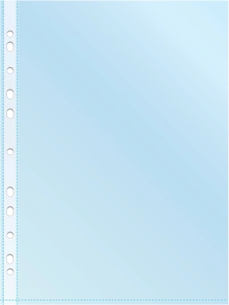 Папка-вкладыш Silwerhof Daily SD-CL/BLU синий глянцевые A4+ полипропилен 30мкм (упак.:50шт) - купить недорого с доставкой в интернет-магазине