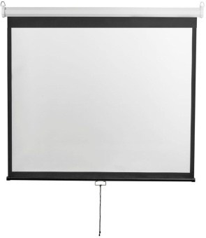 Экран Digis 150" 229x308см Optimal-D DSOD-4306 4:3 настенно-потолочный рулонный - купить недорого с доставкой в интернет-магазине