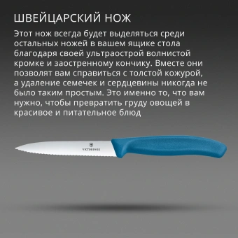 Нож кухонный Victorinox Swiss Classic (6.7732.C1) стальной универсальный для чистки овощей и фруктов лезв.100мм серрейт. заточка синий - купить недорого с доставкой в интернет-магазине