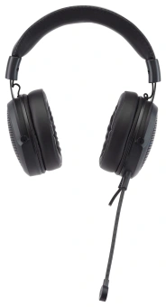 Наушники с микрофоном Acer AHW120 черный 2.1м мониторные USB оголовье (ZL.HDSCC.01C) - купить недорого с доставкой в интернет-магазине