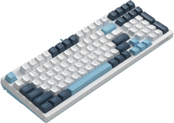 Клавиатура A4Tech FS300 механическая белый/синий USB for gamer LED (FS300 PANDA SNOWBOARDING) кабель 1.8м - купить недорого с доставкой в интернет-магазине