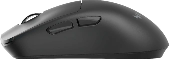 Мышь Acer Nitro OMR402 черный оптическая 26000dpi беспров. BT/Radio USB 5but (ZL.MCECC.05E) - купить недорого с доставкой в интернет-магазине