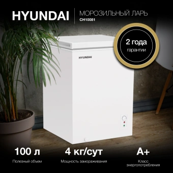 Морозильный ларь Hyundai CH10081 белый 70Вт - купить недорого с доставкой в интернет-магазине